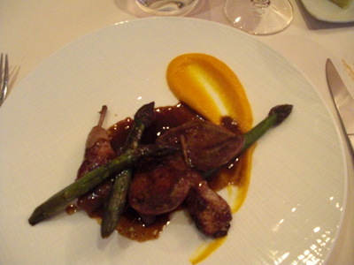 pigeon
